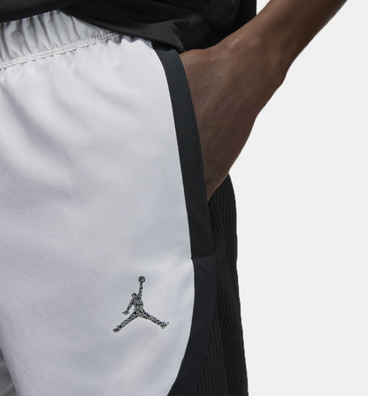 Jordan Dri-FIT Sport Statement Men's Shorts